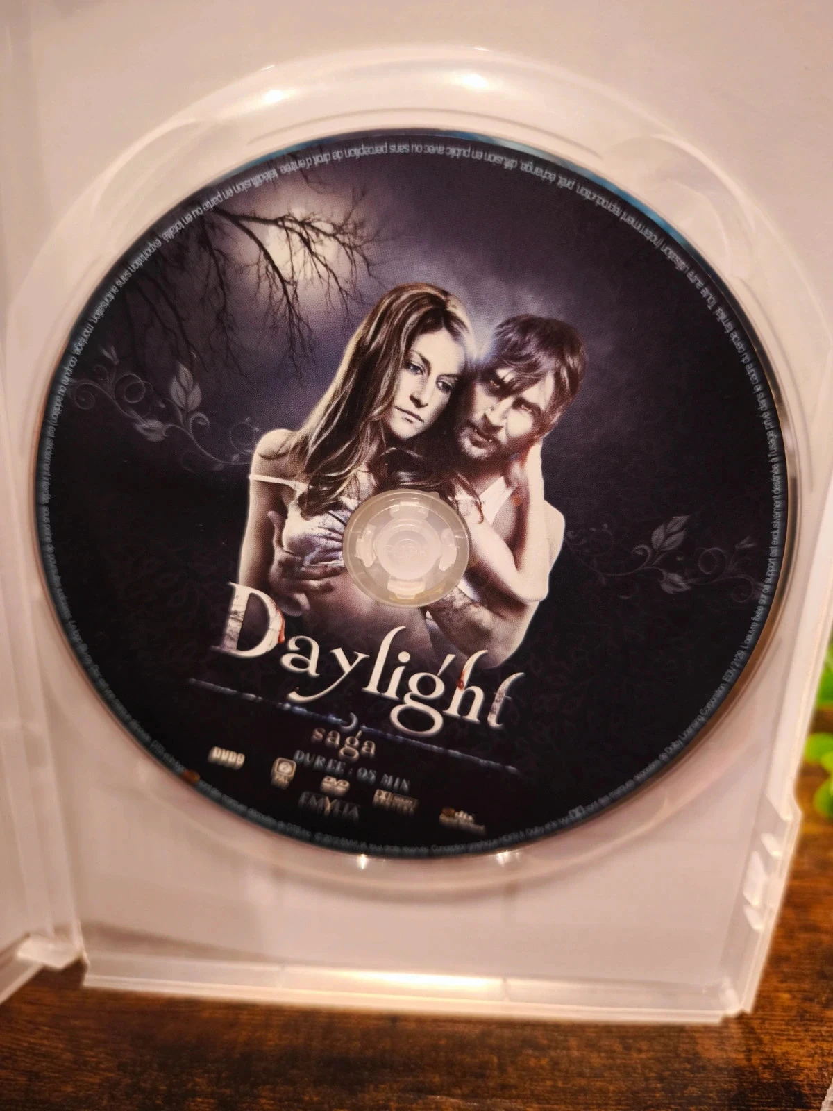 Daylight saga – photo 3